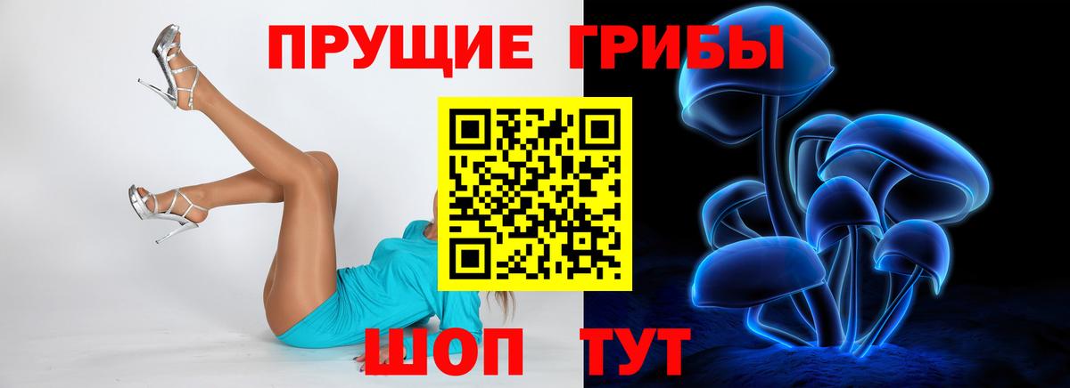 Галлюциногенные грибы GOLDEN TEACHER Йошкар-Ола